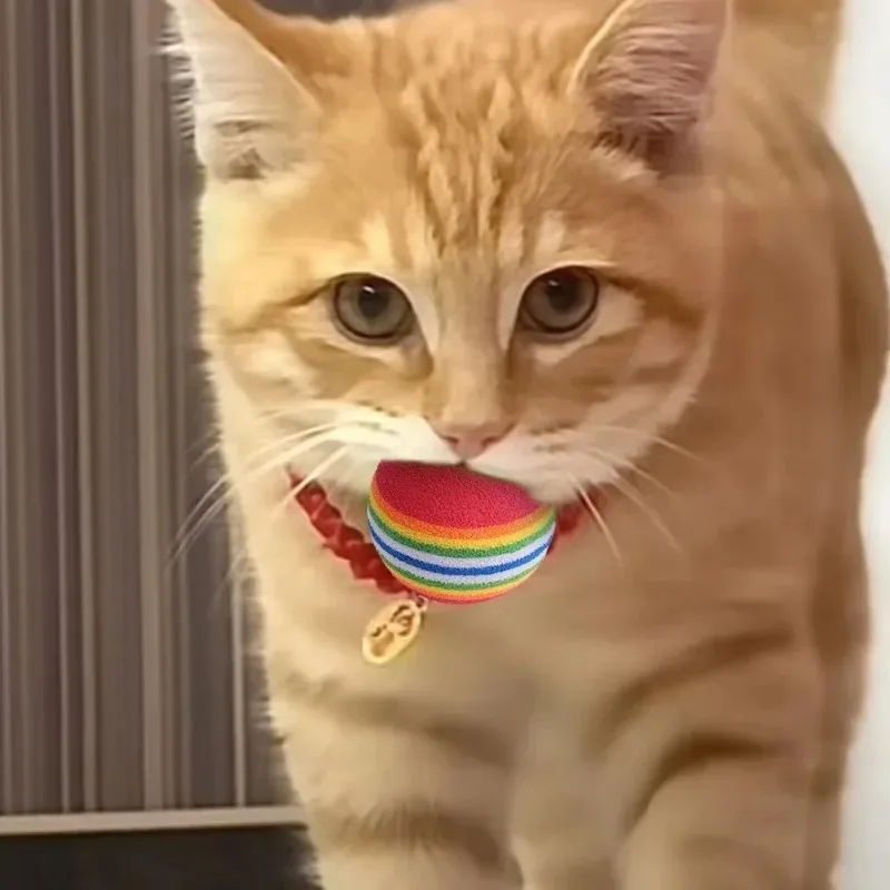 Bola Interativa Rainbow para Gatos e Cães de EVA 3,5 cm com Chocalho - Image 5