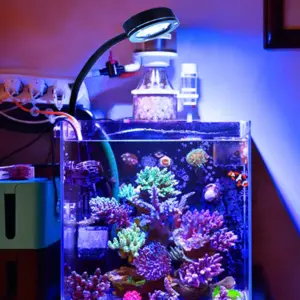 luminária LED aquário marinho 30-50 cm