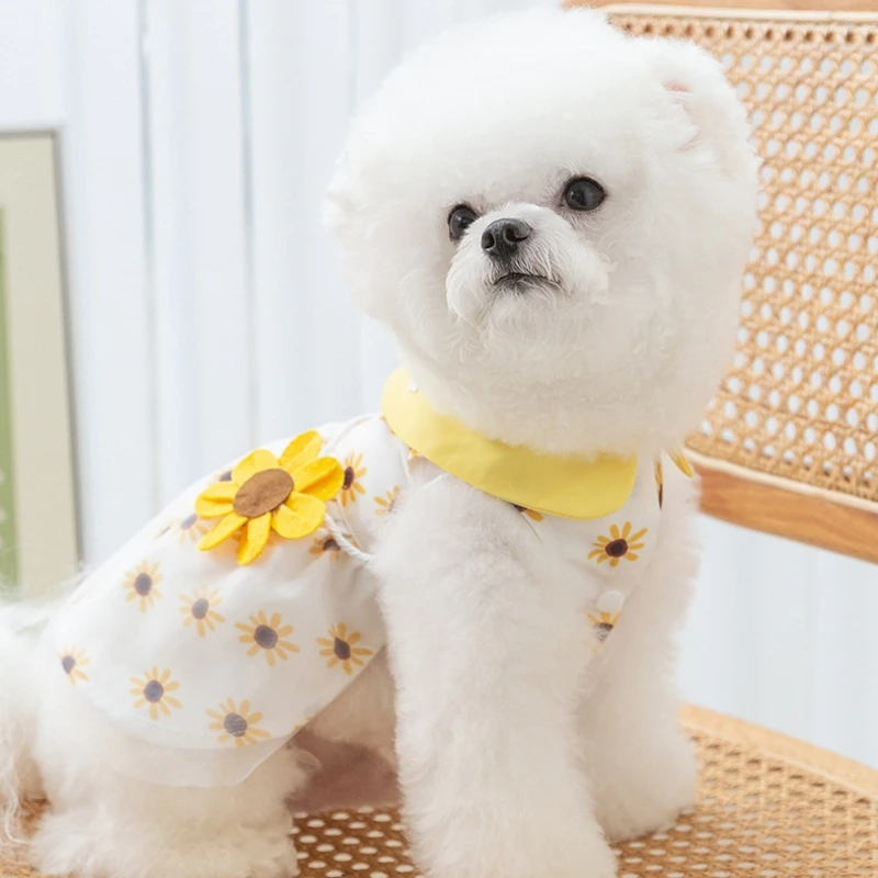 Vestido de Malha para Cães e Gatos com Laço para Passeio - Image 4