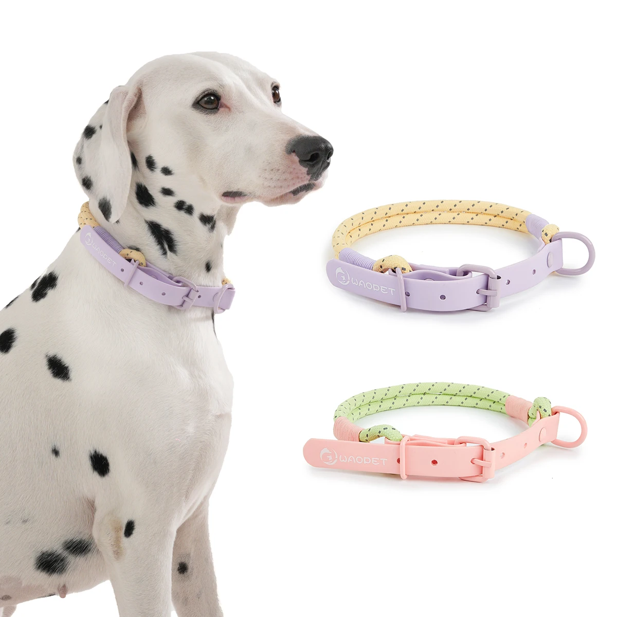 Coleira para Cães Pequenos e Médios de PVC Biothane e Nylon Refletivo - Image 3