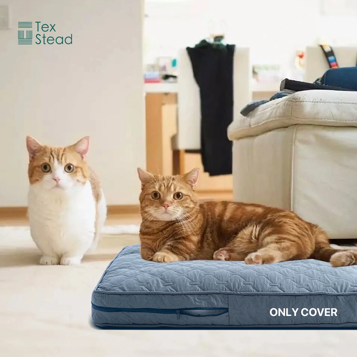 Capa para Cama Ortopédica para Cães Grandes Lavável Ciano Claro - Image 4