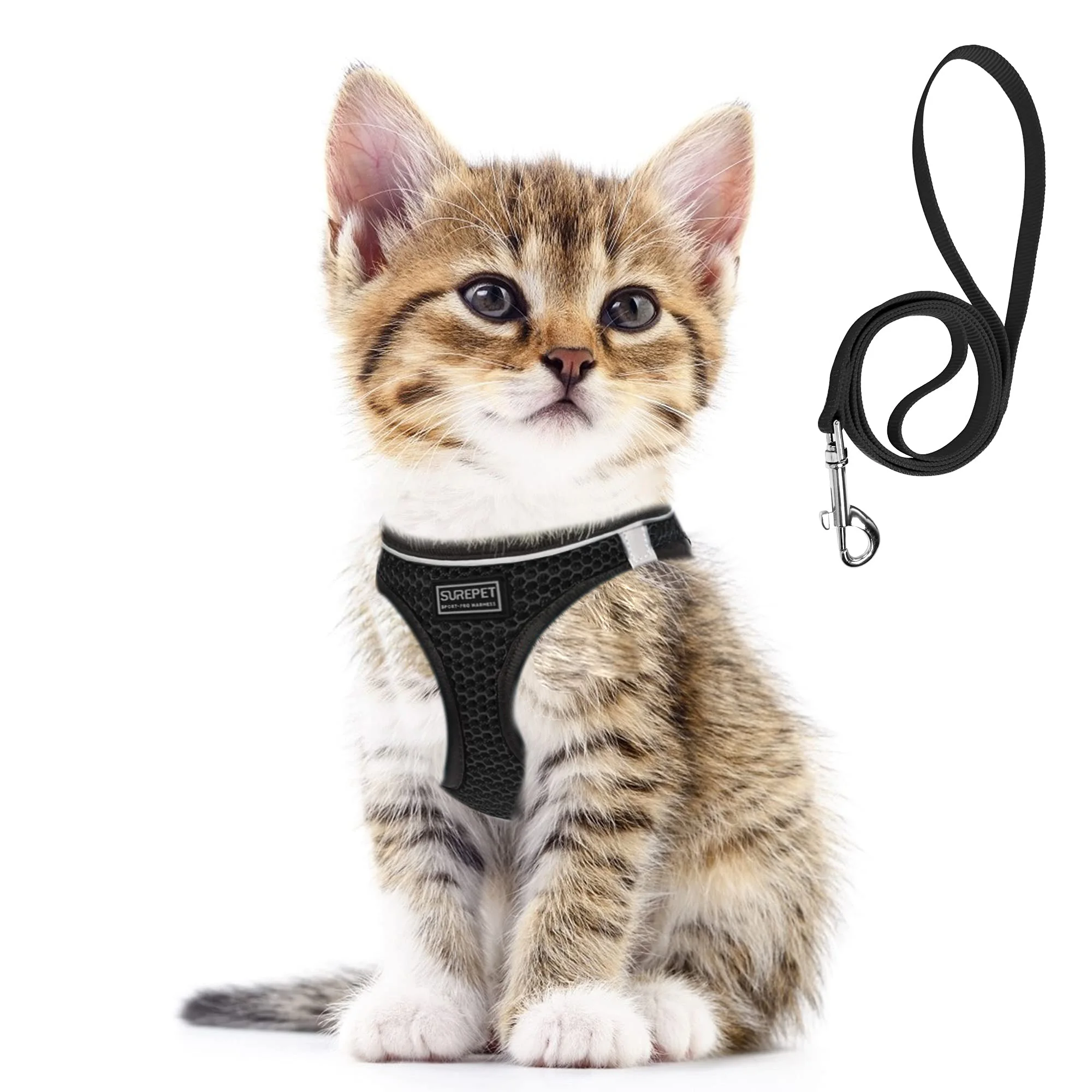 coleira peitoral ajustável para cães pequenos e gatos