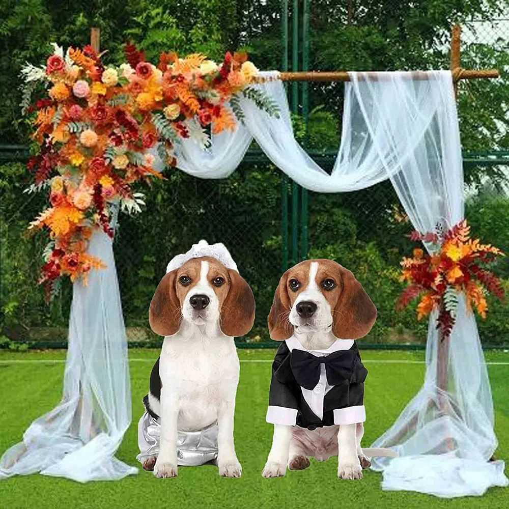 Smoking para Cães e Gatos Roupa Formal para Festa Casamento - Image 2