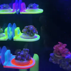 suporte coral SPS 3D para aquário