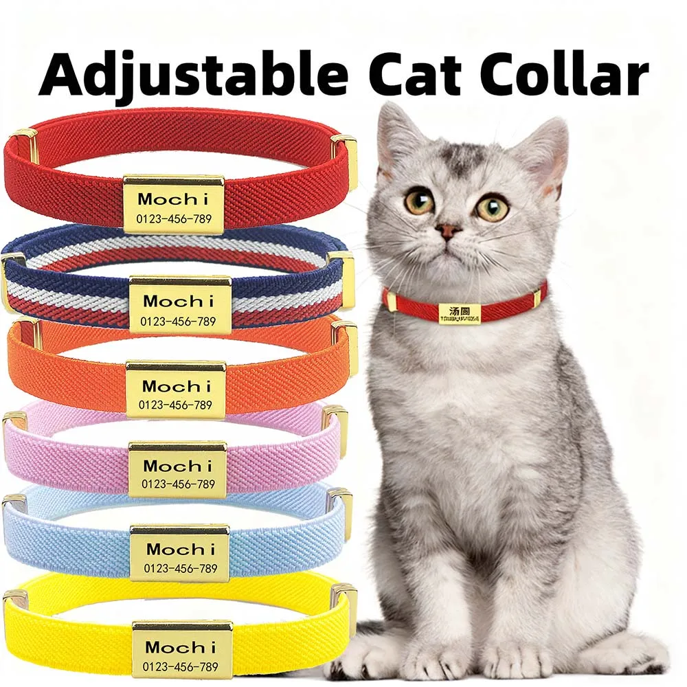 coleira ajustável para gato com placa de nome