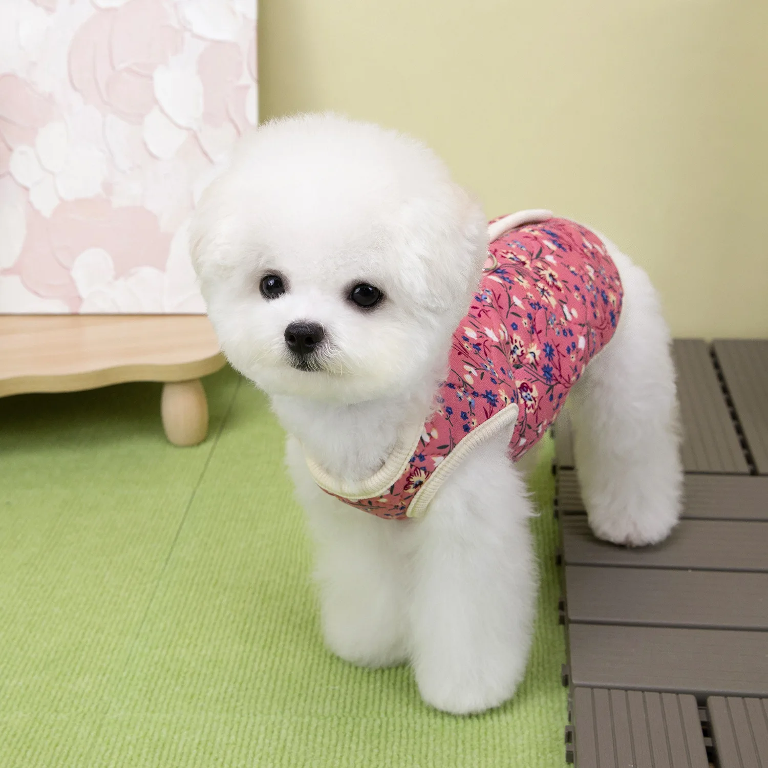 Macacão Floral para Cães e Gatos de Algodão e Poliéster - Imagem 6
