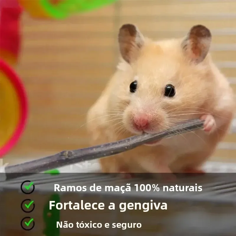 Palitos de Maçã para Roedores 100% Natural 12,5 cm - Imagem 5
