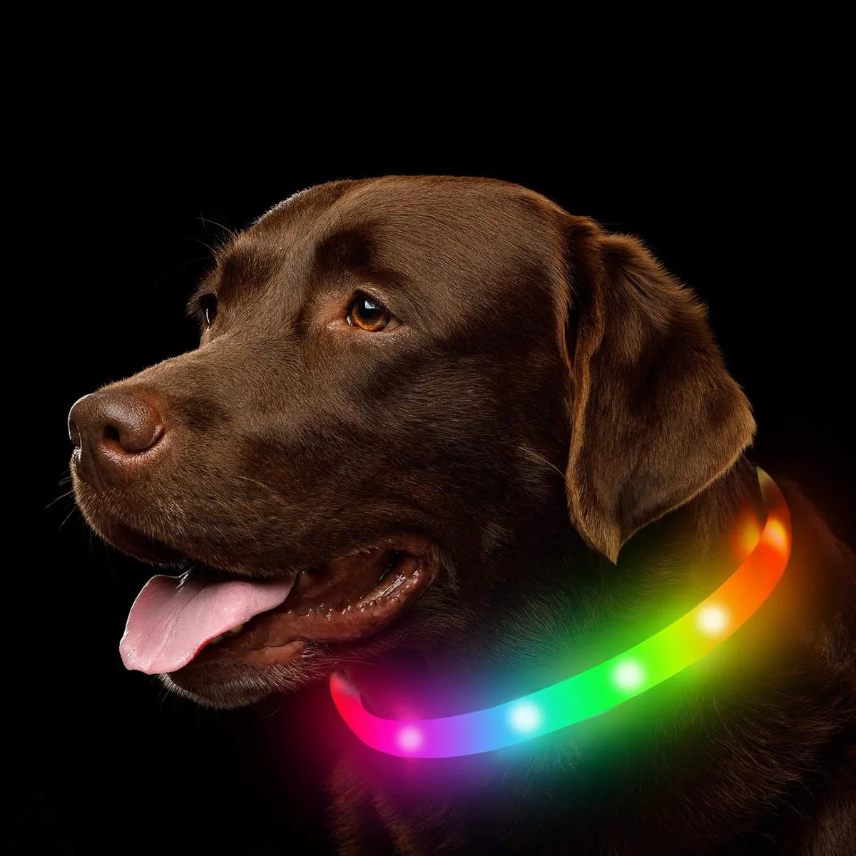 Coleira LED para Cães Recarregável USB Ajustável com 4 Modos de Luz - Imagem 6