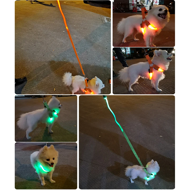 Coleira Peitoral LED para Cães Recarregável USB Ajustável - Imagem 4