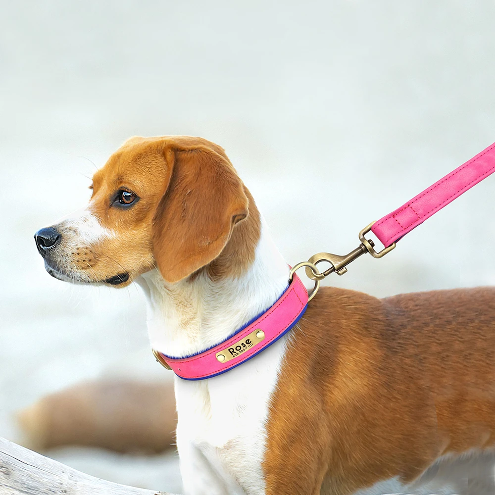 Coleira de Couro PU para Cães com Placa de Identificação Gravada - Imagem 5