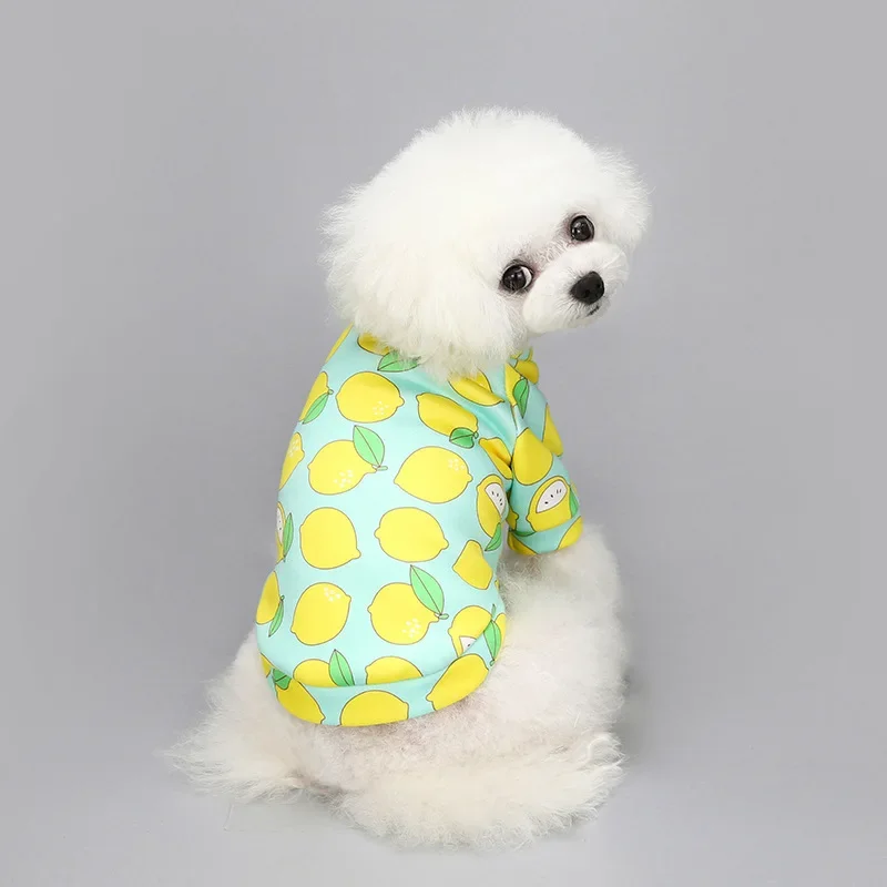 Moletom para Cães Pequenos com Capuz Inverno Quente - Imagem 4