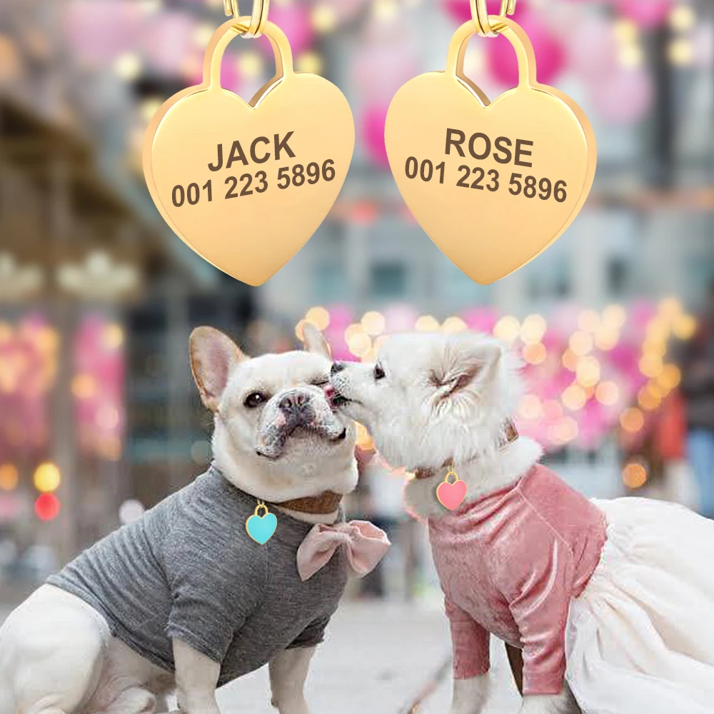 Etiqueta de Identificação Coração para Cães e Gatos Personalizável - Imagem 6