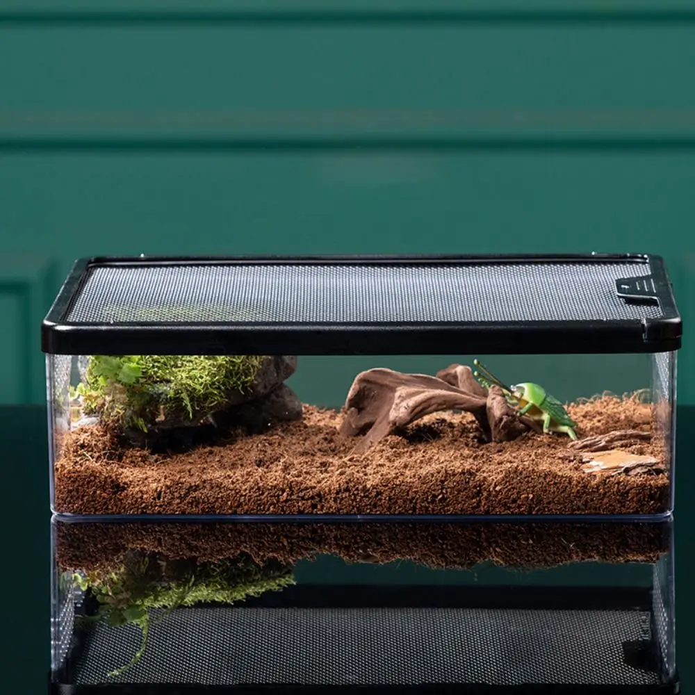 Terrário para Répteis Acrílico Transparente Anti Fuga - Image 2