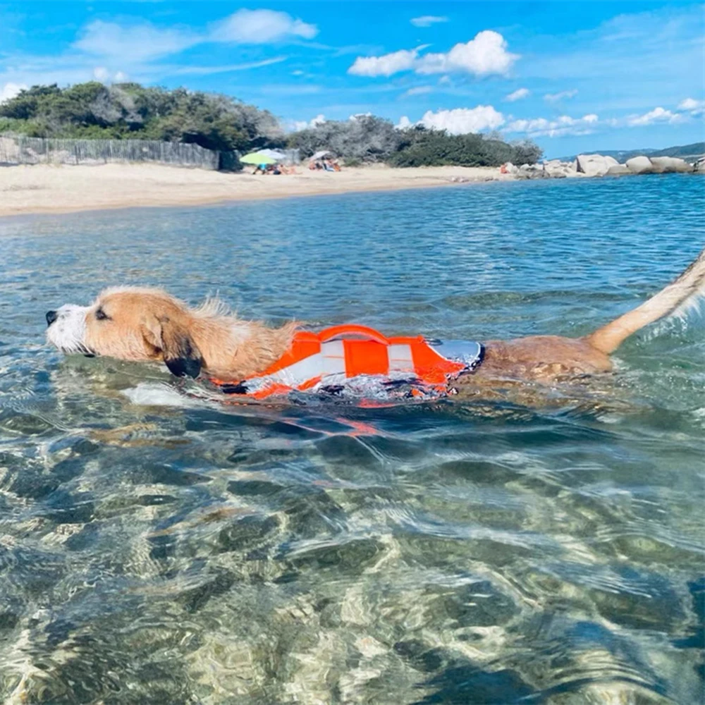 Colete Salva-Vidas para Cães Pequenos e Médios com Material Refletivo - Imagem 5
