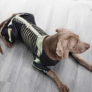 fantasia esqueleto para cães grandes