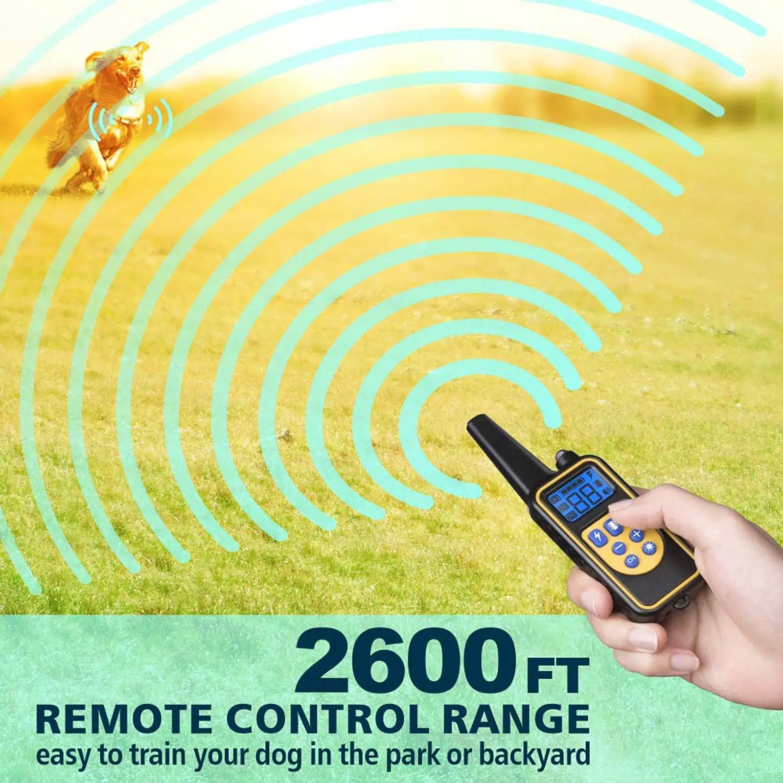 Coleira de Treinamento para Cães com Controle Remoto e Bateria Recarregável - Imagem 3