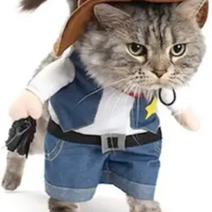 fantasia cowboy para cães pequenos