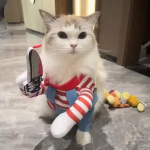 fantasia de halloween para cães e gatos
