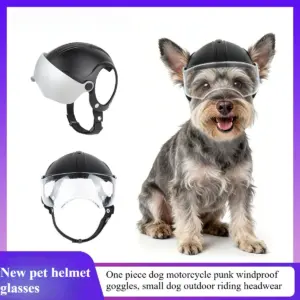 capacete para cães pequenos com óculos