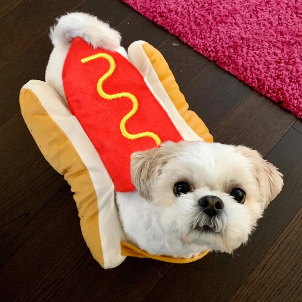 fantasia de cachorro-quente para cães e gatos