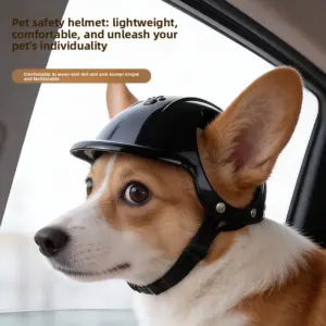 capacete leve para cães e gatos