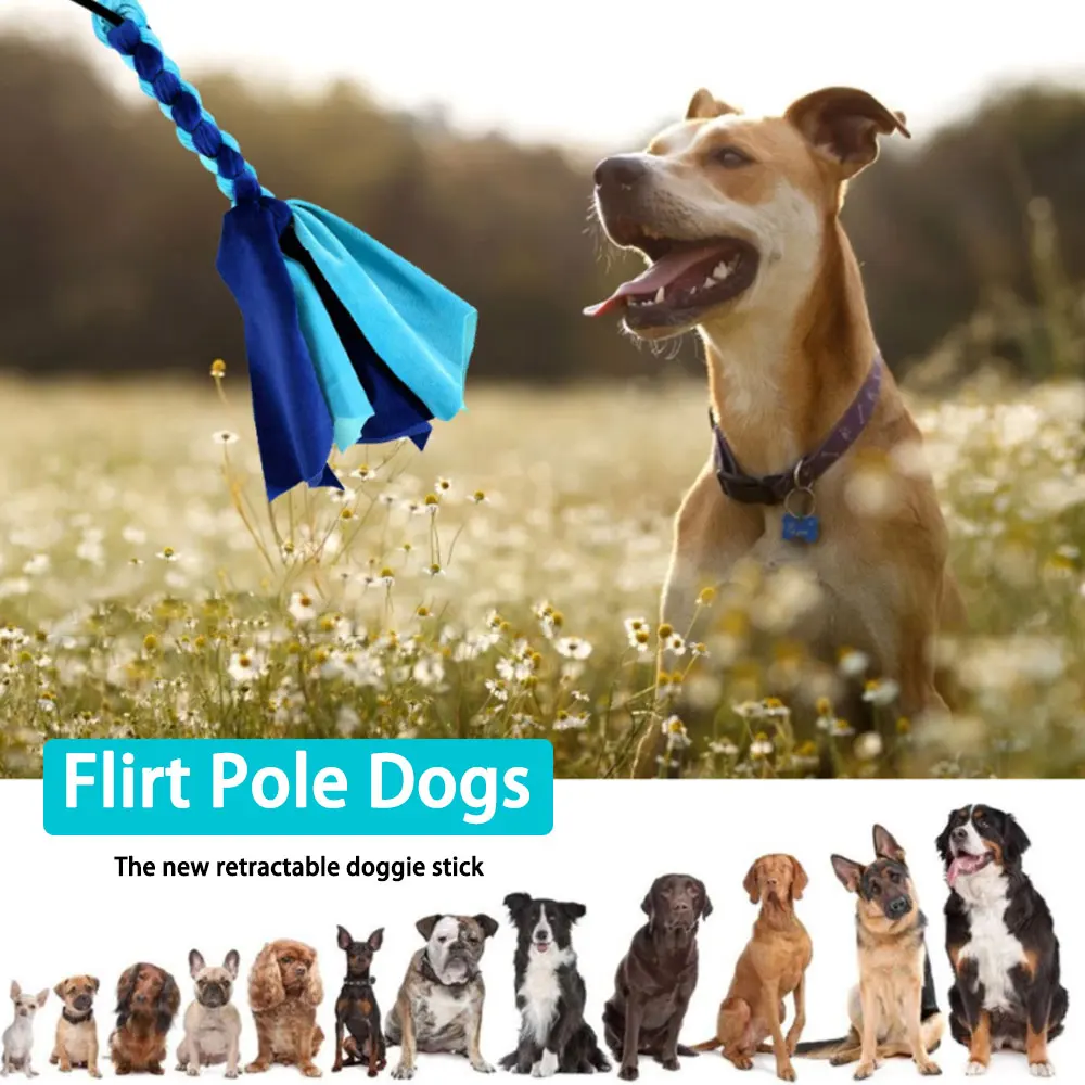 Vara de Flertar para Cães com Haste Telescópica de 68 cm - Imagem 5