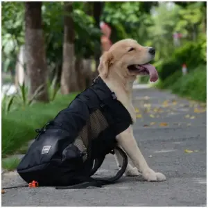 mochila para cães de viagem respirável