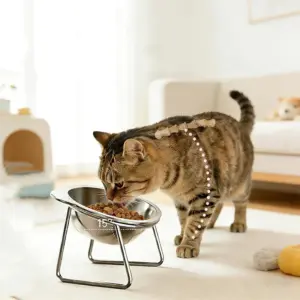 tigelas elevadas de aço inoxidável para gatos