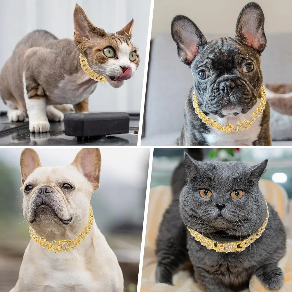 Coleira Dourada para Cães e Gatos de Liga de Zinco com Fivela Segura - Imagem 6