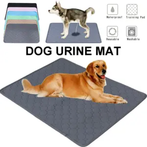 tapete absorvente lavável para cães