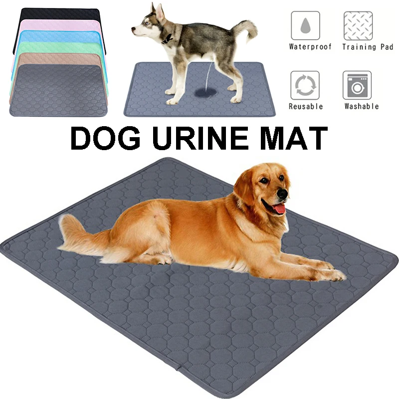 tapete absorvente lavável para cães