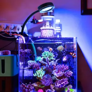 luminária LED para aquário marinho