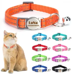coleira personalizada para gatos