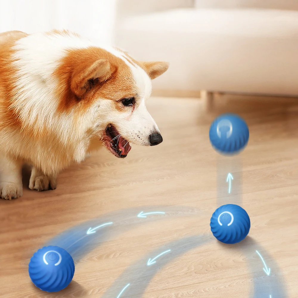 bola interativa para cães e gatos recarregável