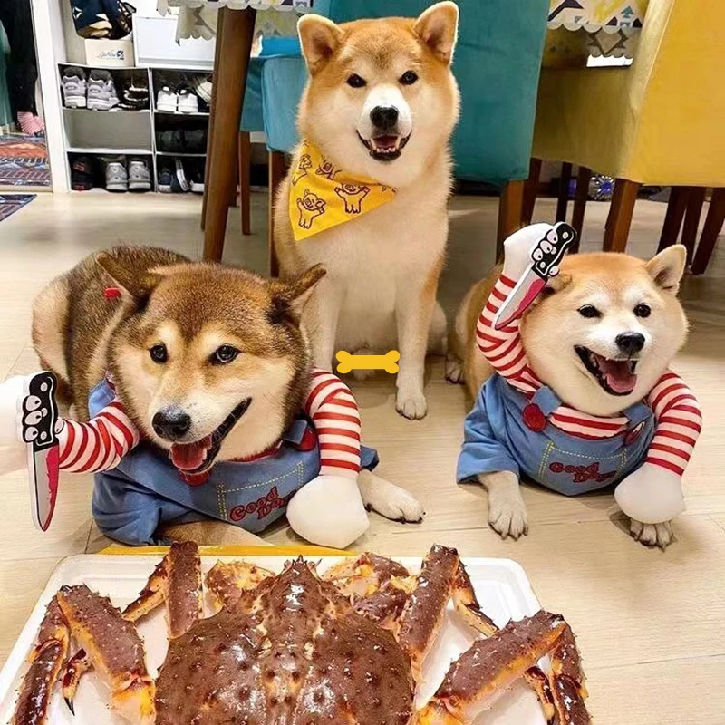 Fantasia de Halloween para Gatos e Cães Ajustável - Imagem 5