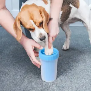copo de lavagem de patas para cães e gatos