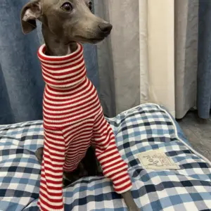 suéter listrado para galgo italiano