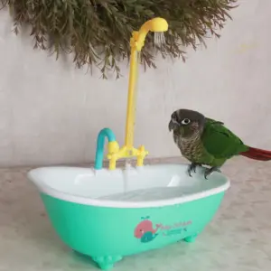 banheira automática para pássaros com chuveiro elétrico