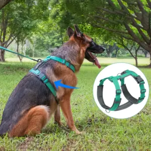 coleira peitoral para cães grandes