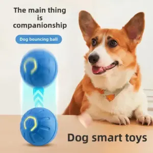 bola de brinquedo interativa para cães