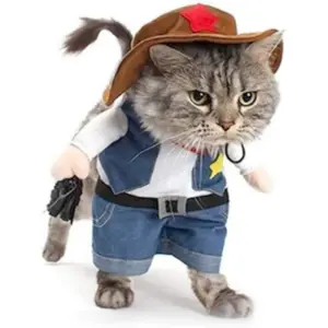 fantasia de cowboy para cães e gatos