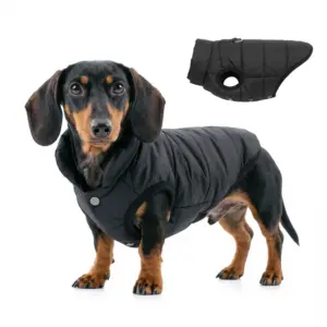 colete de inverno para cães pequenos e médios