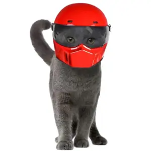 capacete de motocicleta para pets