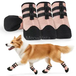 botas antiderrapantes para cães