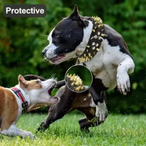 coleira de couro para cães ajustável