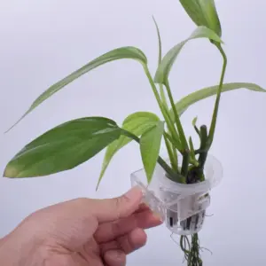 suporte de plantas para aquário ajustável