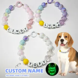 coleira personalizada para cães e gatos