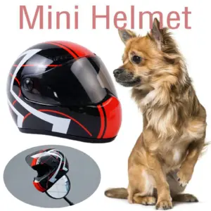 mini capacete para cães e gatos pequenos