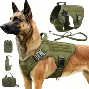coleira tática para cães