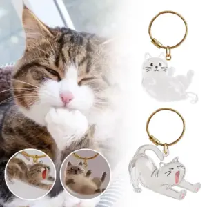 chaveiro porta-pelo pet transparente gato